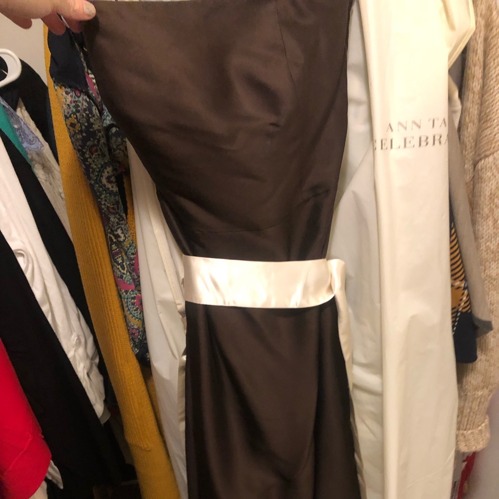 EUC with Garment Bag Ann Taylor Dress!